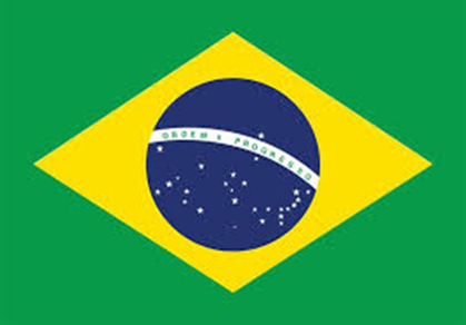 Brazil Flag